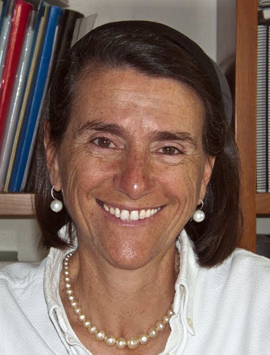 Sonsoles Perpiñán Guerras